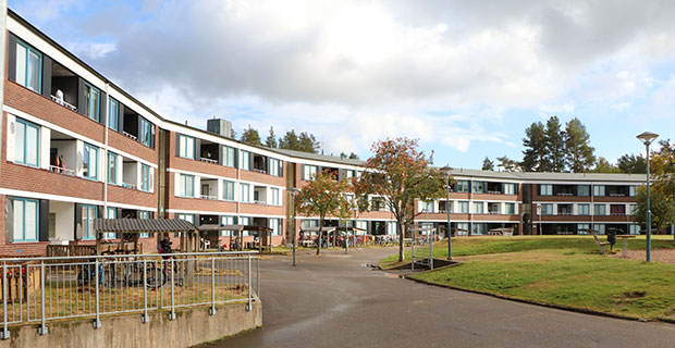 Bild från innergården på området.